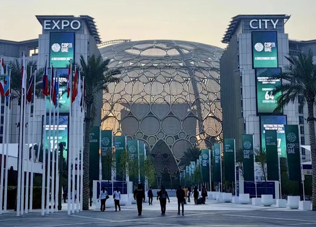 走进中东“碳”路COP28｜中环od平台入口官网控股聚焦 n-TOPCon 技术创新与低碳零碳产业园应用场景发声