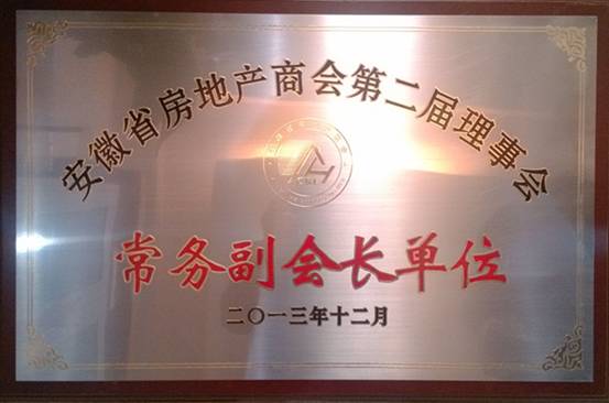 中环投资集团荣获安徽房地产常务副会长单位——安徽房地产商会第二次会员大会隆重举行