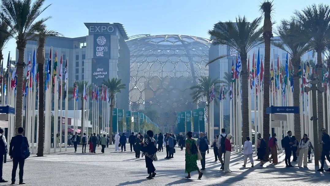 COP28聚焦｜联合国舞台上 中环低碳展现中国od平台入口官网创新魅力